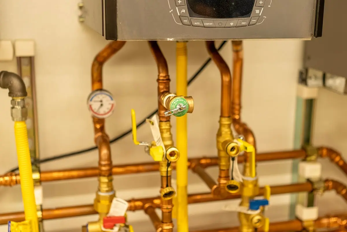 Licensed technician providing Sewer Cleanout for a homeowner in Paupack